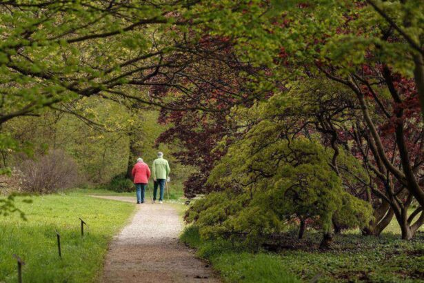 refleksyjne cytaty o zyciu Refleksyjne cytaty o życiu. Piękne słowa zmieniają spojrzenie i pomagają przetrwać trudne chwile